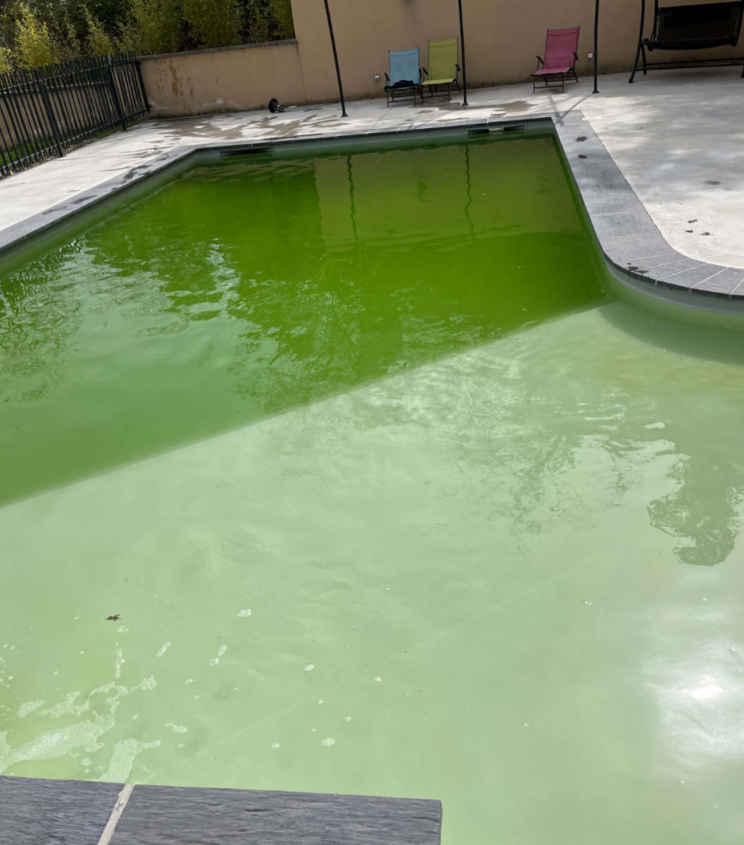 Fioretti Piscines Pisciniste Saint Paulet De Caisson Avant 2